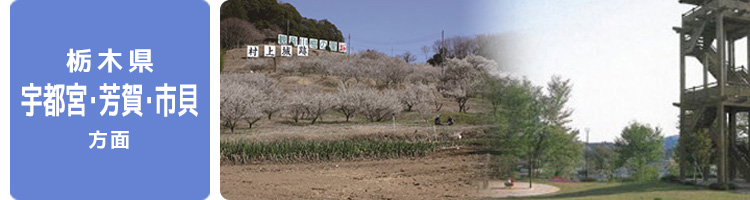 路線沿線情報(栃木県 宇都宮・芳賀・市貝)